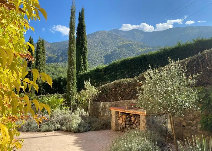 Appartement Et Les Glycines